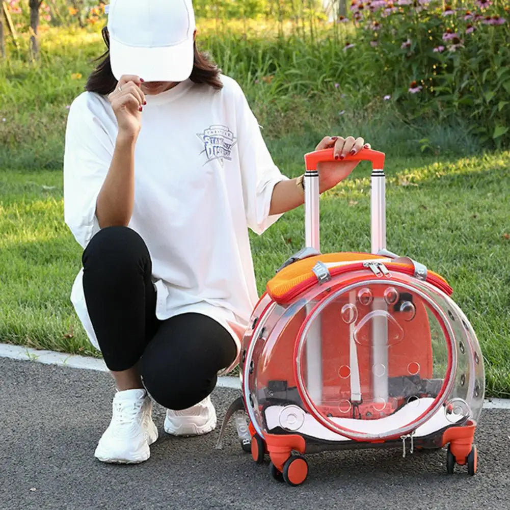 Pet Trolley Case With Ventilation Holes For Cats Travel