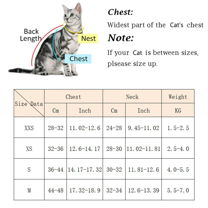 Sphynx Cat Harness Vest With Fur Winter Warm Leash Set