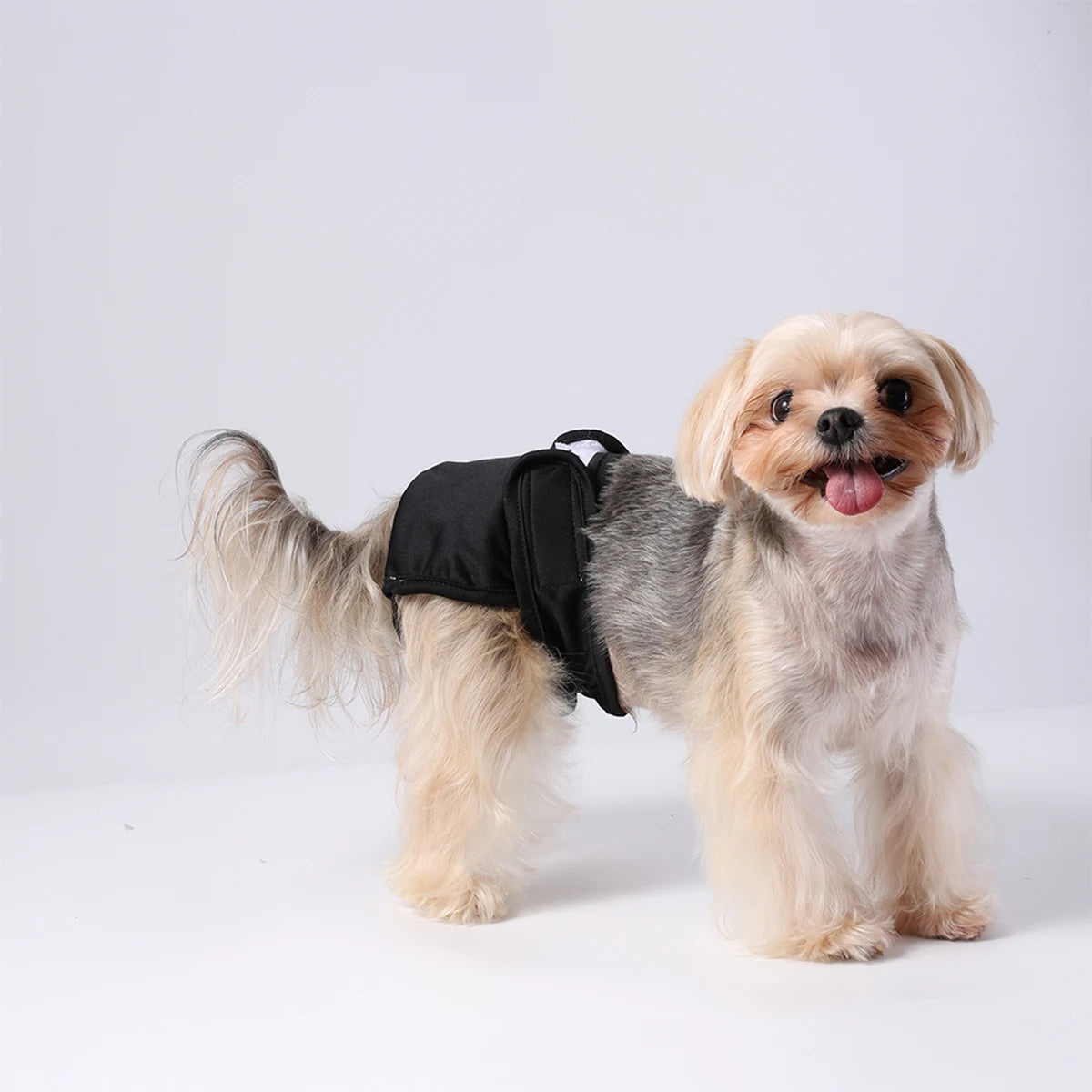 Washable Female Dog Diaper Adjustable Leakproof Reusable Panties For Dogs