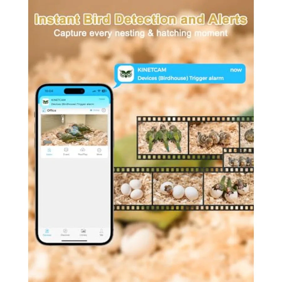 Guangdong Parakeet Nesting Box Bird House With 1080P WiFi Camera