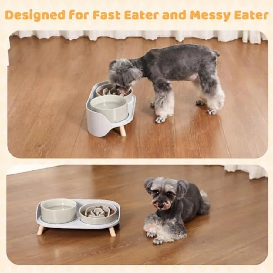 Elevated Slow Feeder Dog Bowls With Stand For Small Dogs