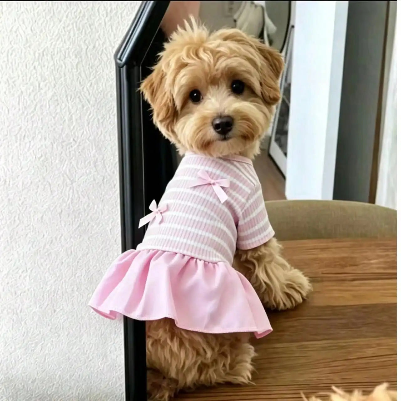 Dog Striped Casual Dress Lightweight Fabric For Spring Summer