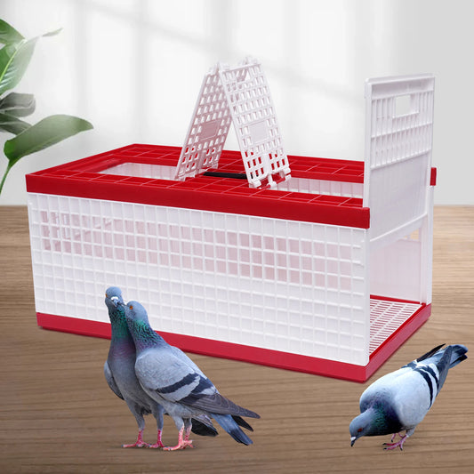 Sichuan Foldable Pigeon Cage With Handle Three-Door Transport