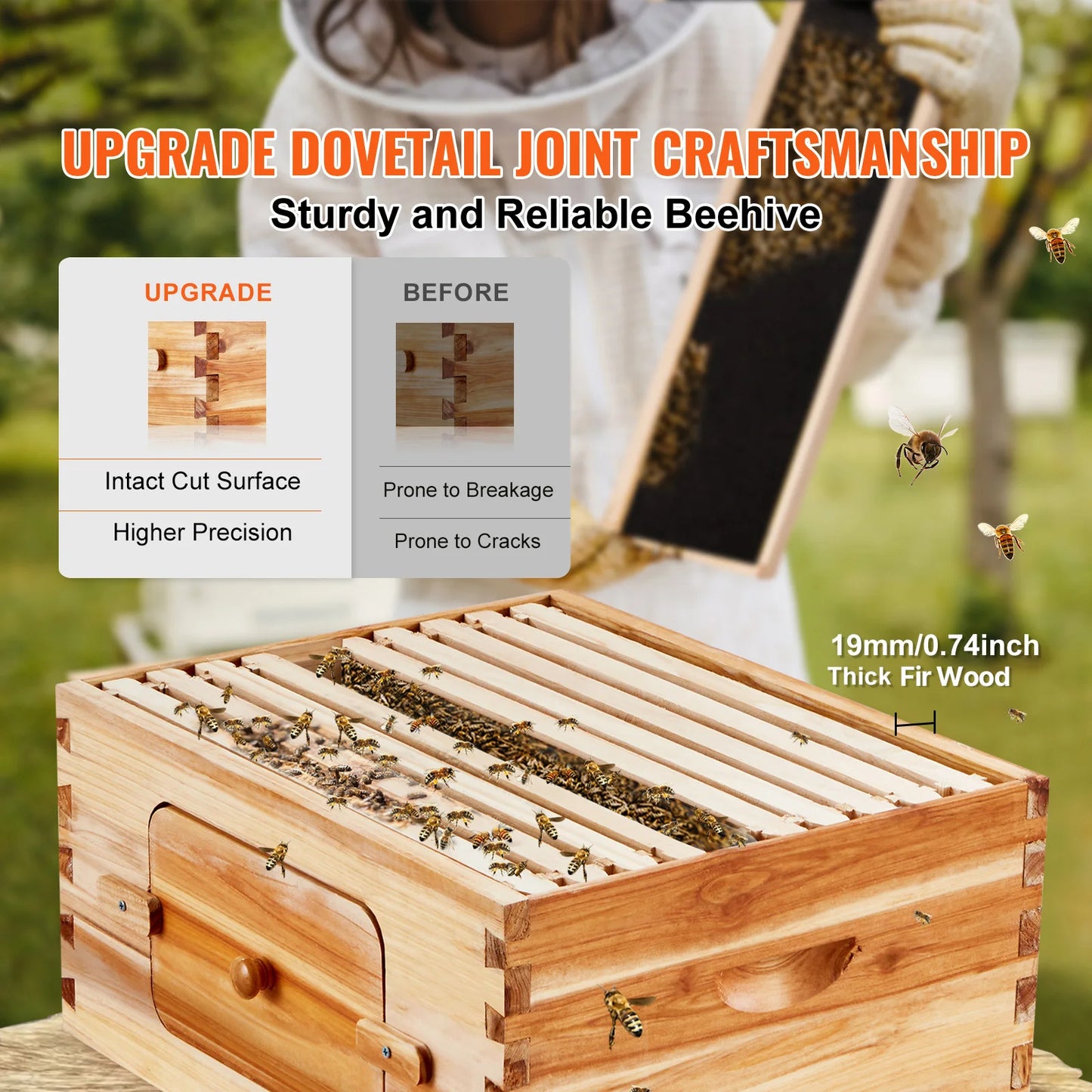 SucceBuy Natural Cedar Wood Langstroth Beehive Kit With Acrylic Windows