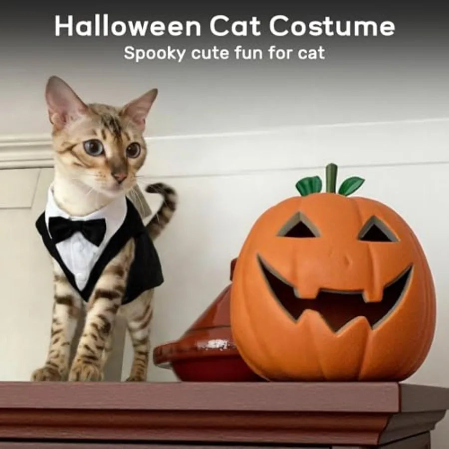 Cat Tuxedo Bow Tie Costume For Cats Formal Wear Classic