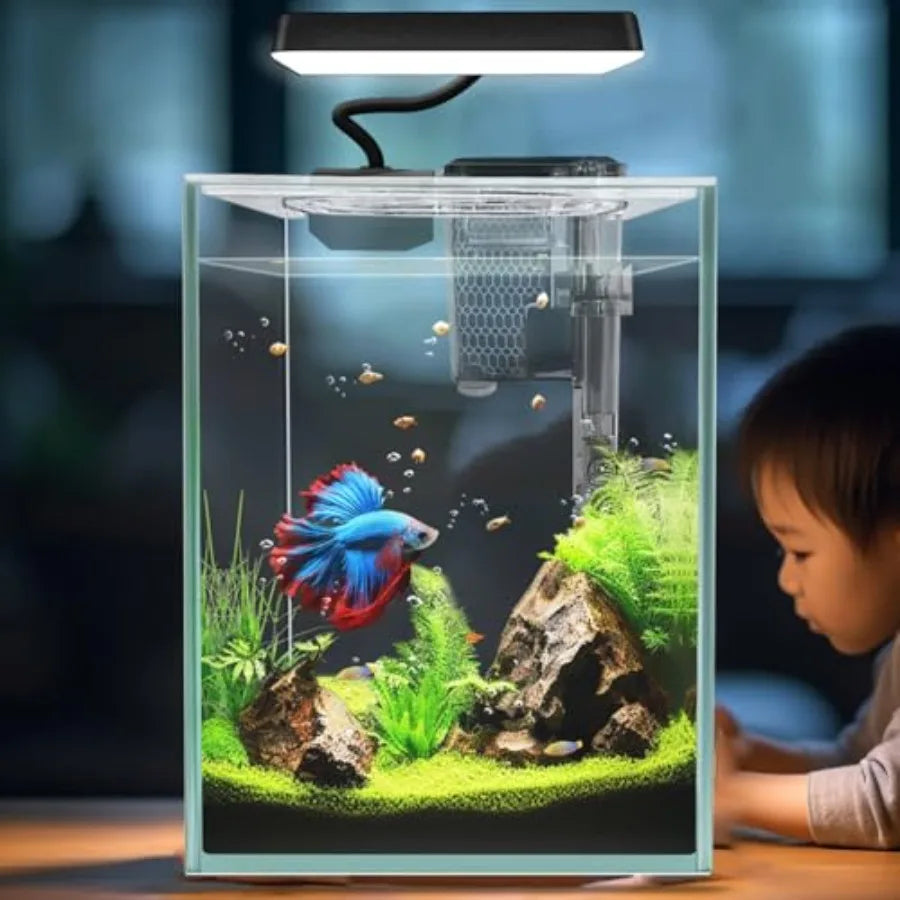 Glass Betta Aquarium Starter Kit With LED Light And Filter